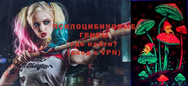бошки Ладушкин