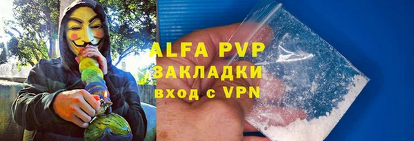 бошки Ладушкин