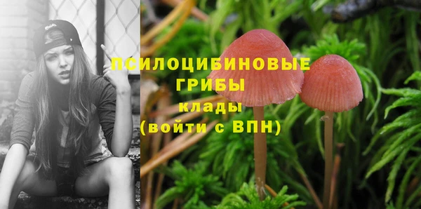 прущий лед Лабытнанги