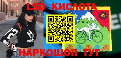 прущие грибы Ставрополь