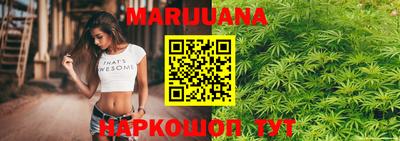 прущие грибы Ставрополь