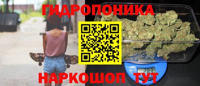 прущие грибы Ставрополь