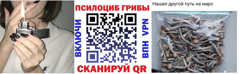 ссылка на мегу зеркало  магазин    Сорочинск  Галлюциногенные грибы Magic Shrooms 